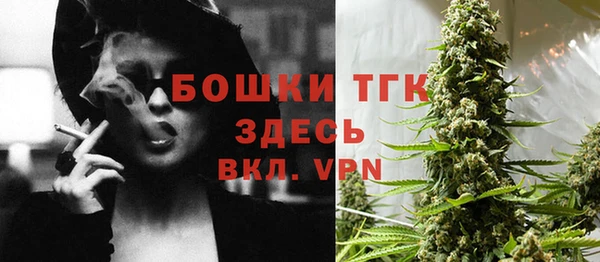 сатива Медвежьегорск